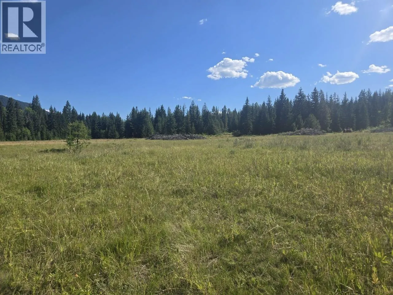 3680 Miller Lake FSR Forest