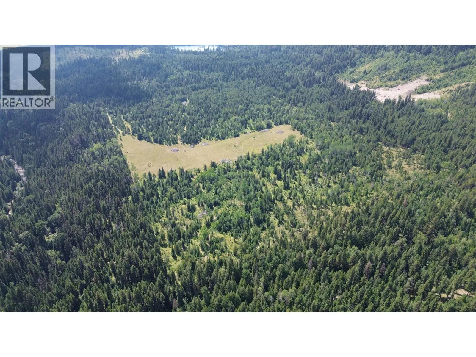 3680 Miller Lake FSR Forest