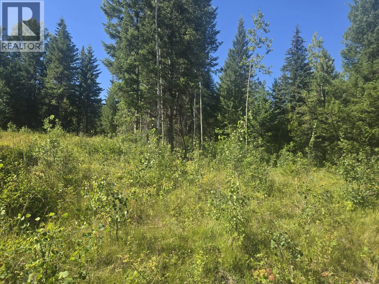 3680 Miller Lake FSR Forest
