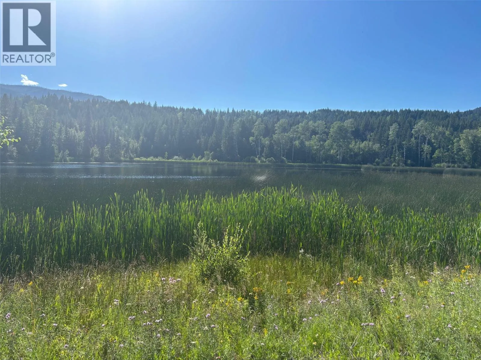 3680 Miller Lake FSR Forest