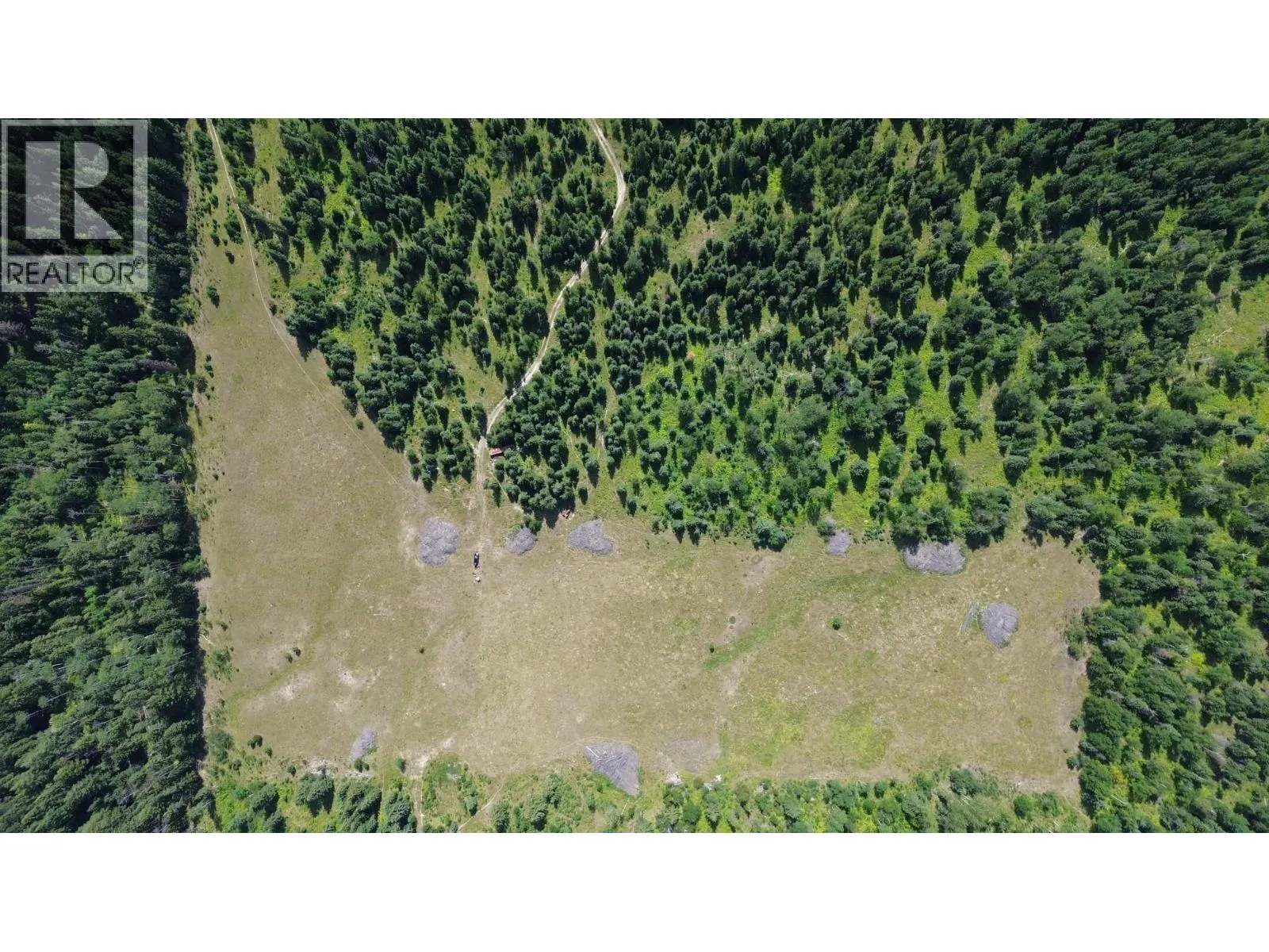 3680 Miller Lake FSR Forest