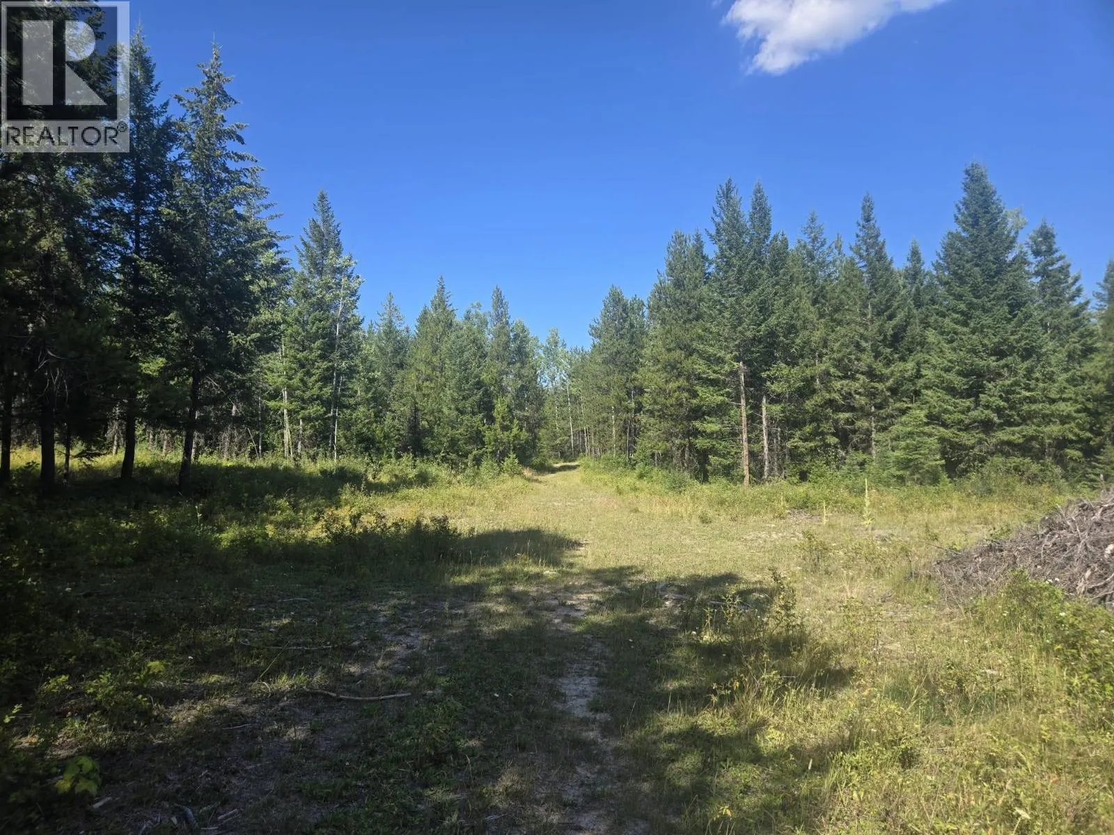3680 Miller Lake FSR Forest