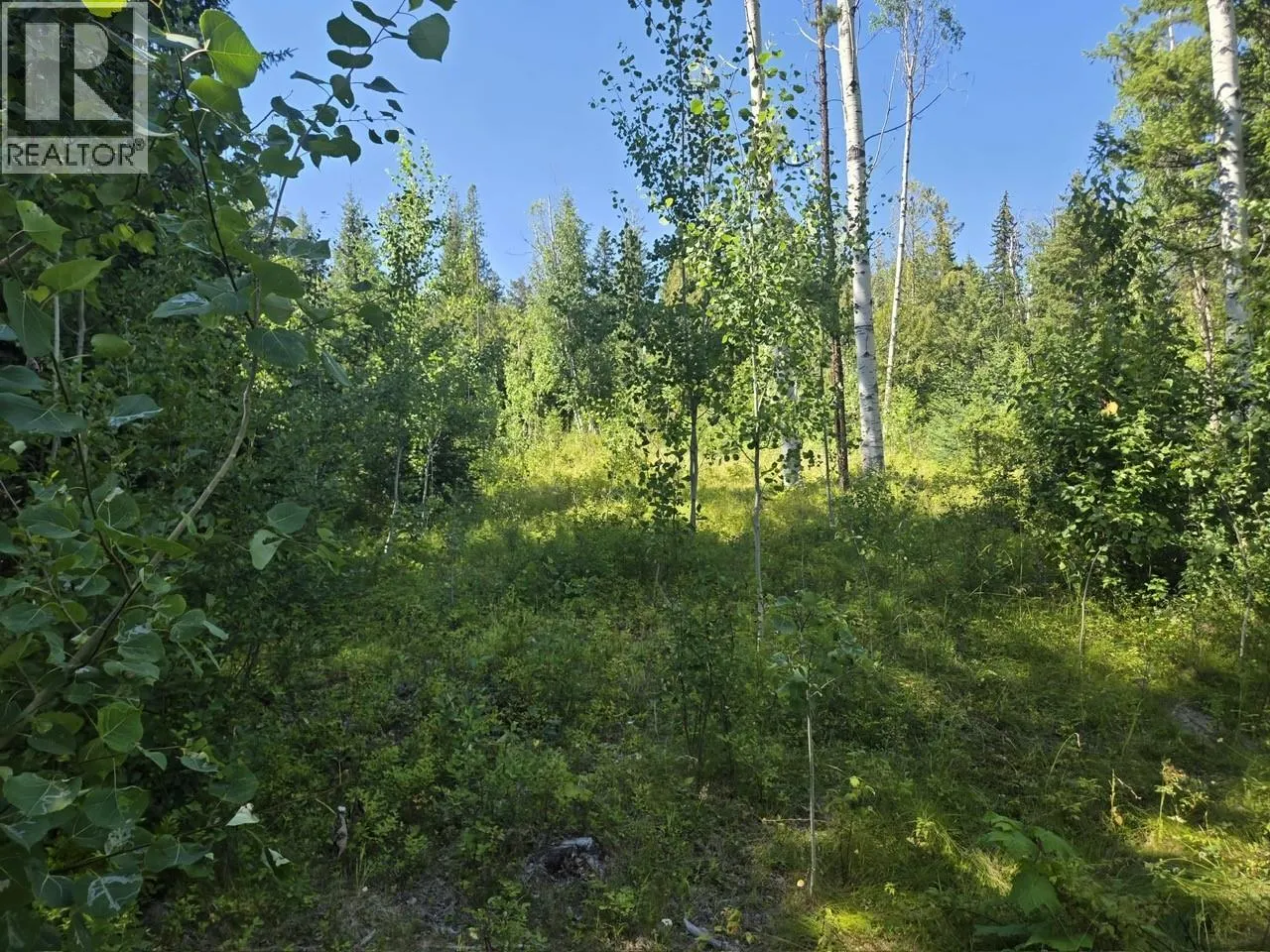 3680 Miller Lake FSR Forest
