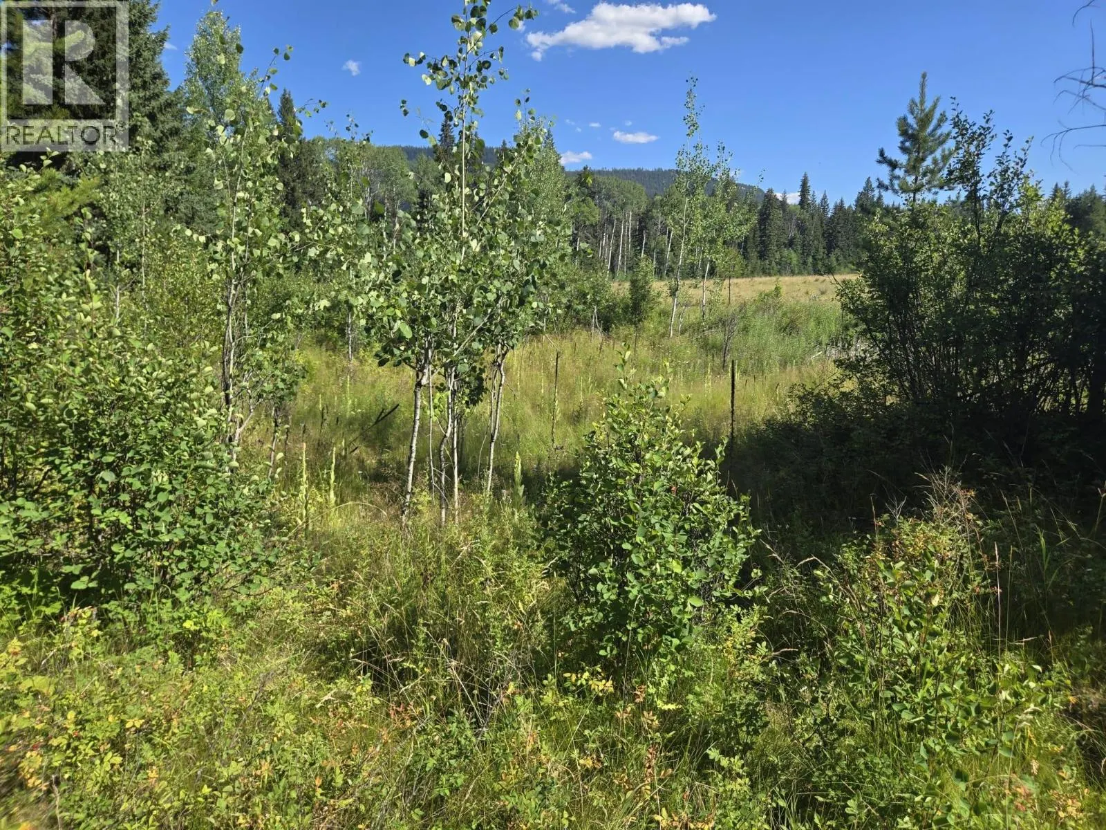 3680 Miller Lake FSR Forest