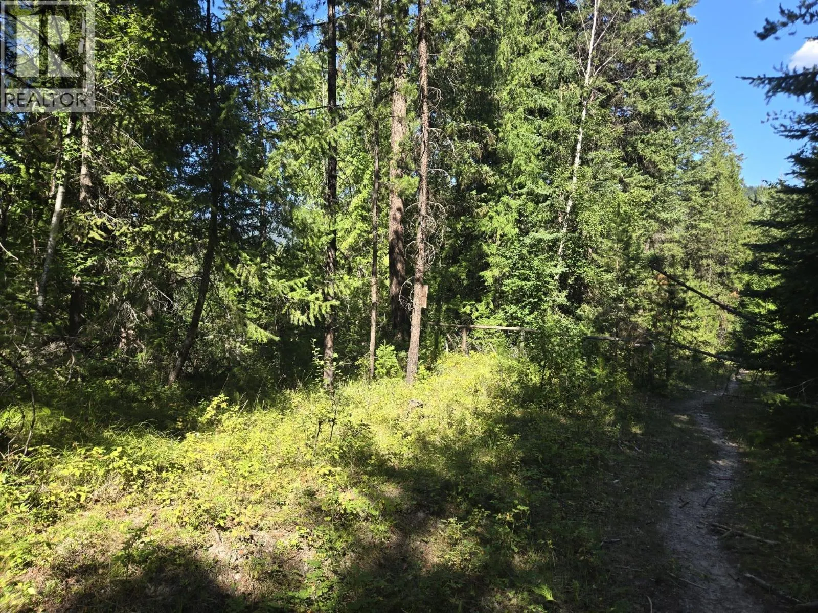 3680 Miller Lake FSR Forest