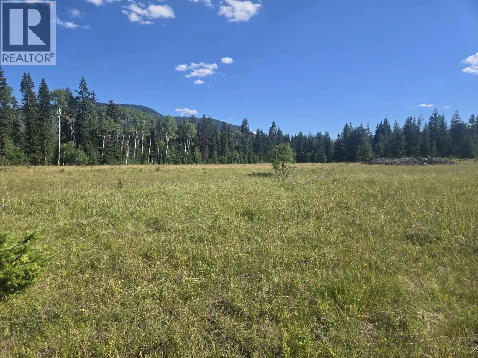 3680 Miller Lake FSR Forest