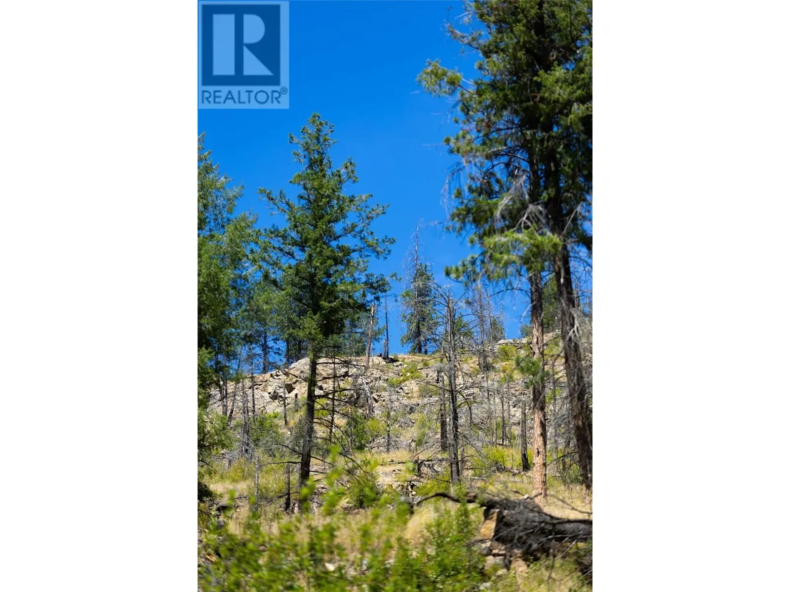 6090 Highway 33