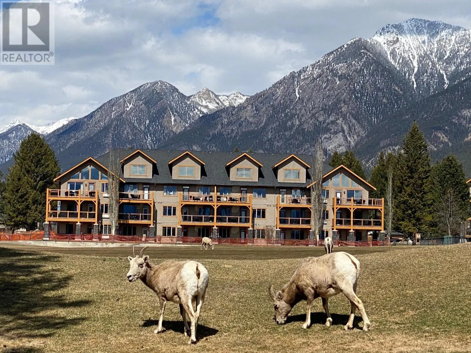 200 BIGHORN Boulevard Unit# 234C
