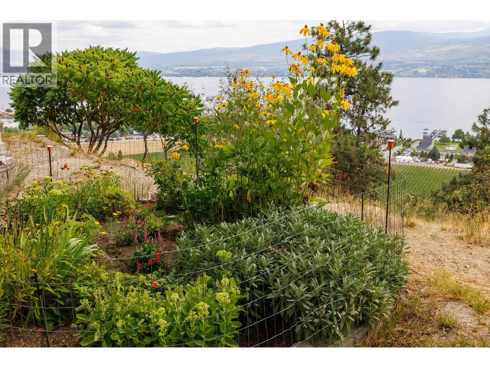 3659 Gala View Drive