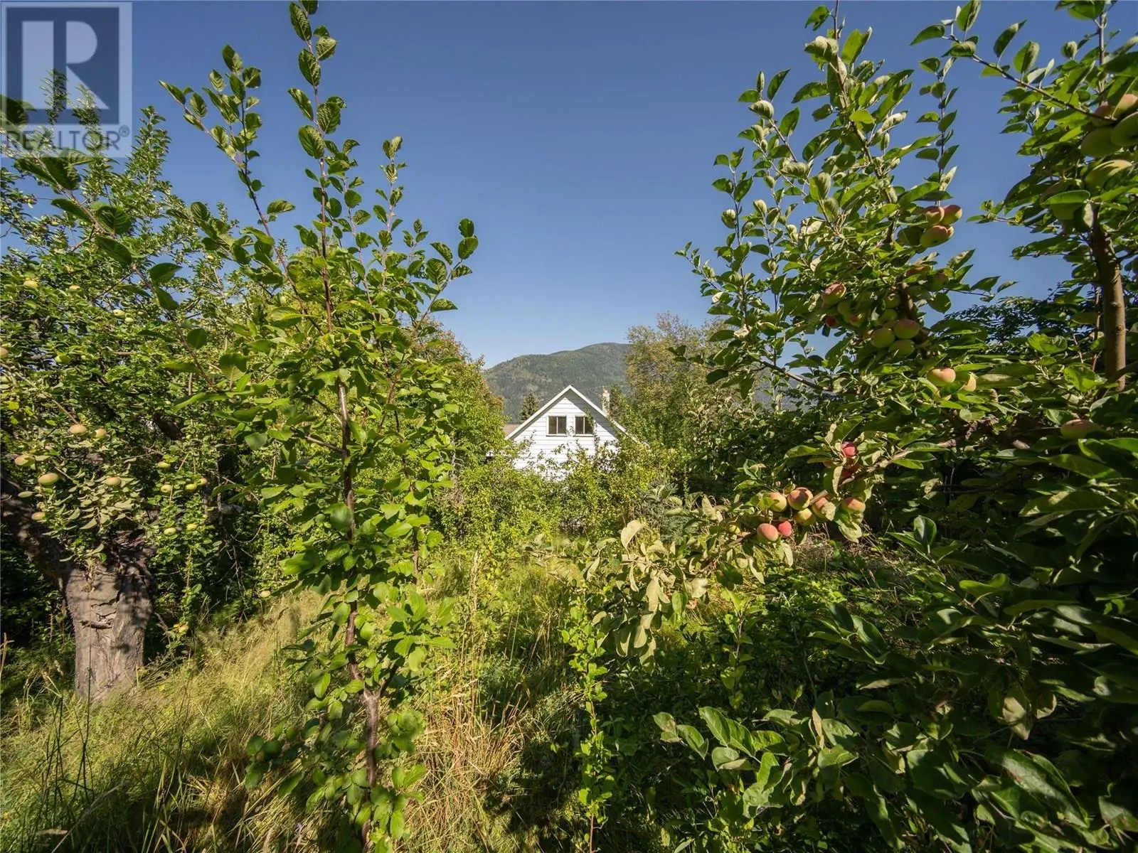608 Innes Street