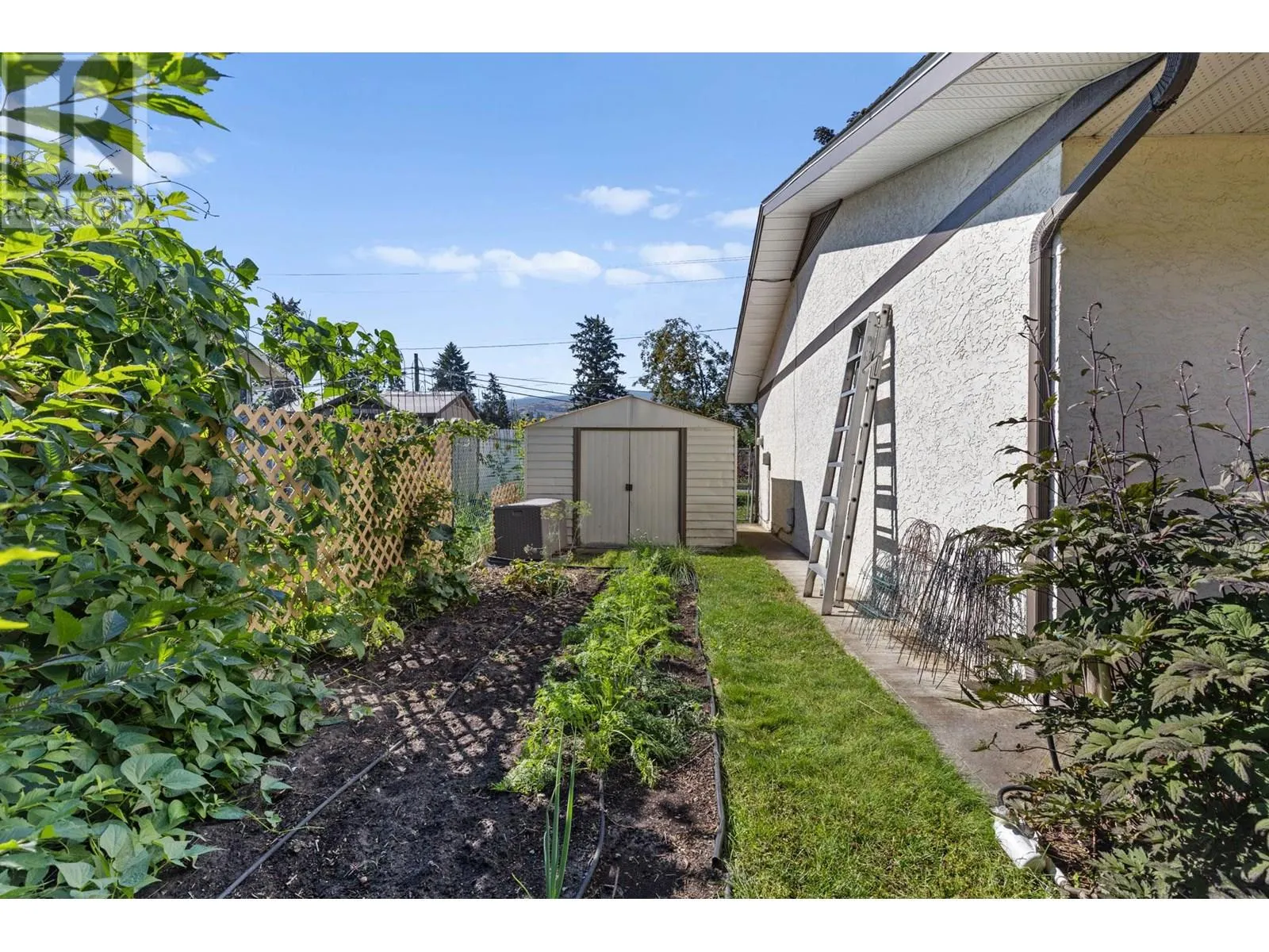 716 Raymer Road
