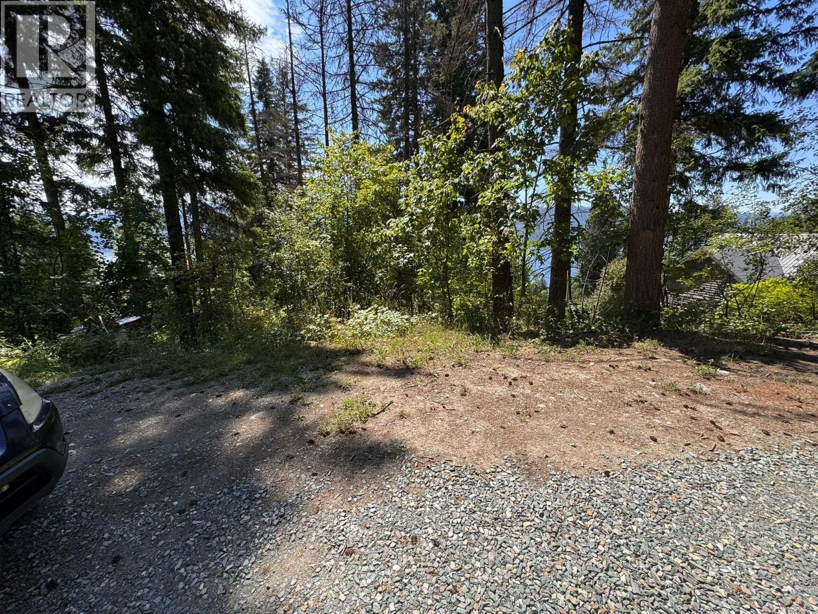 Lonneke Trail Lot# 52