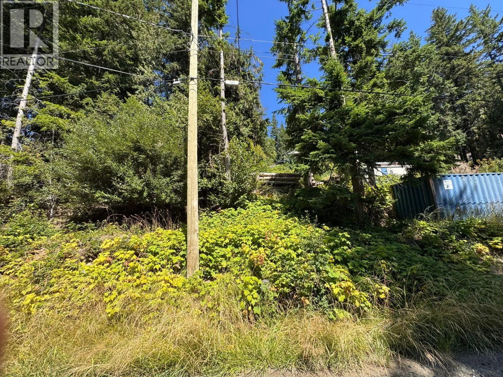 Lonneke Trail Lot# 52