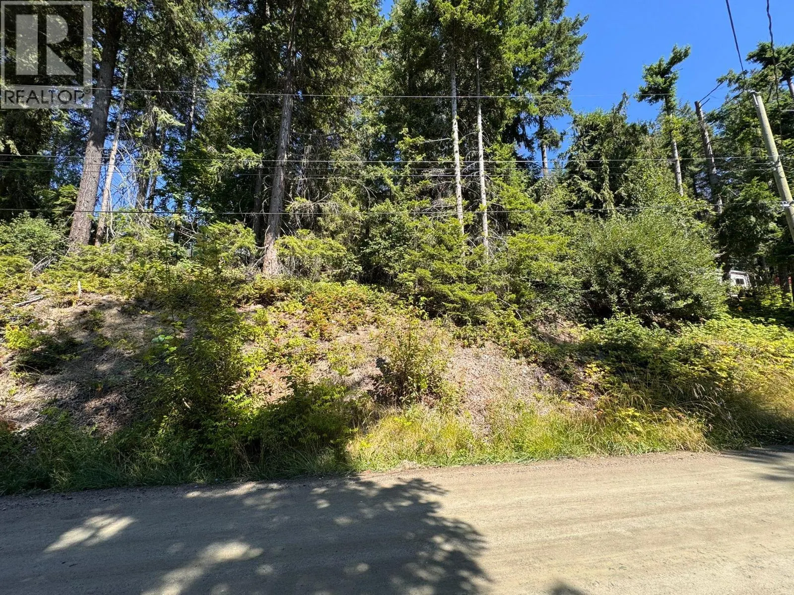 Lonneke Trail Lot# 52