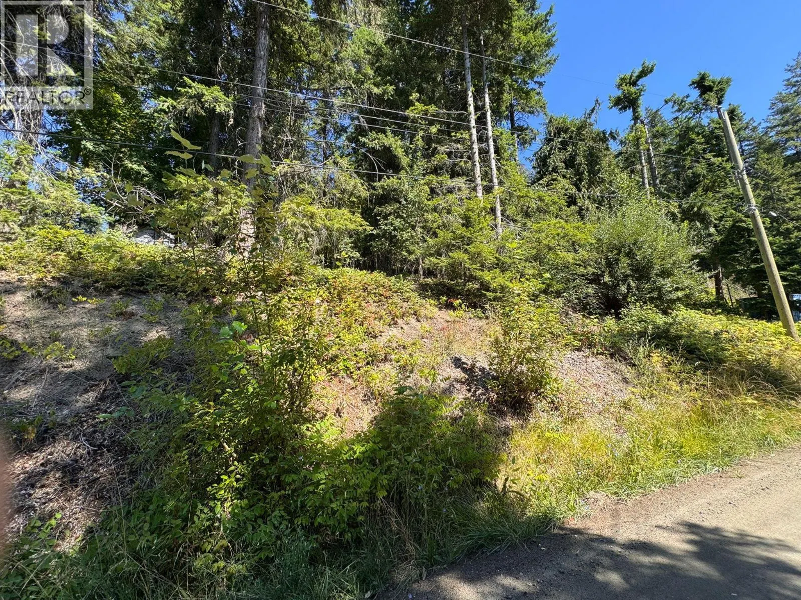 Lonneke Trail Lot# 52