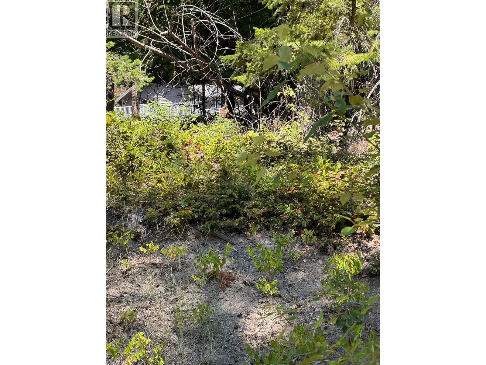 Lonneke Trail Lot# 52