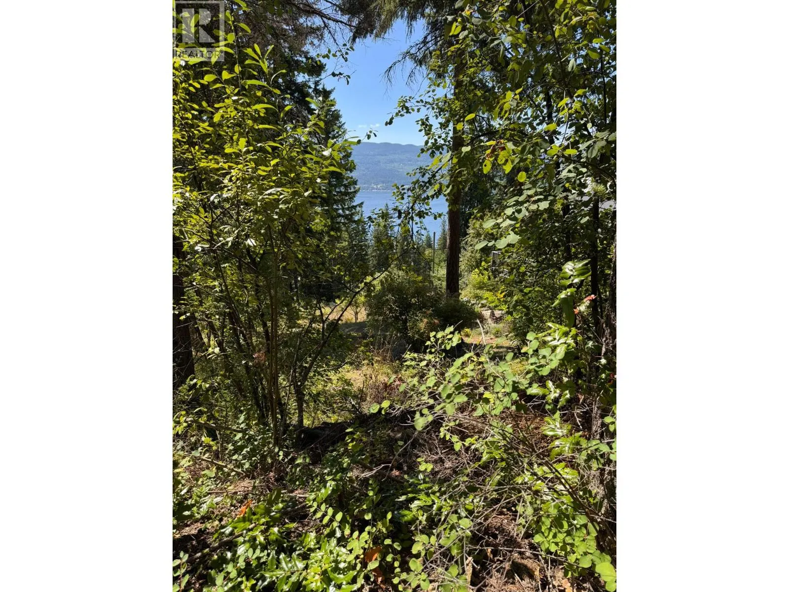 Lonneke Trail Lot# 52