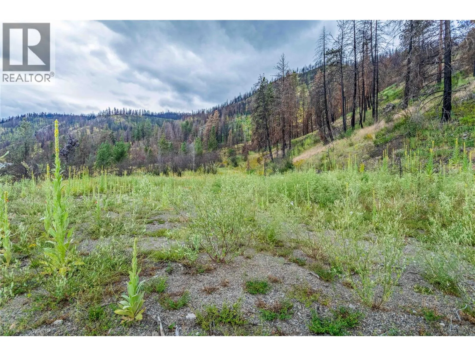 1750 Westside Road N Lot# 3