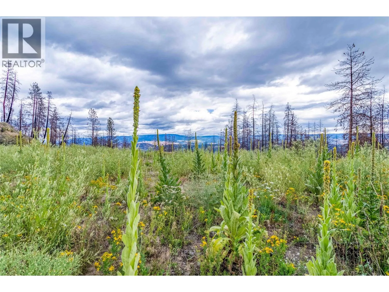 1750 Westside Road N Lot# 3