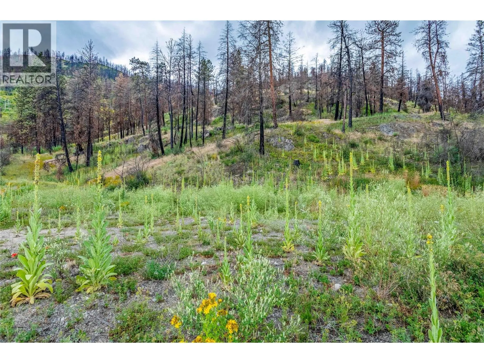 1750 Westside Road N Lot# 3