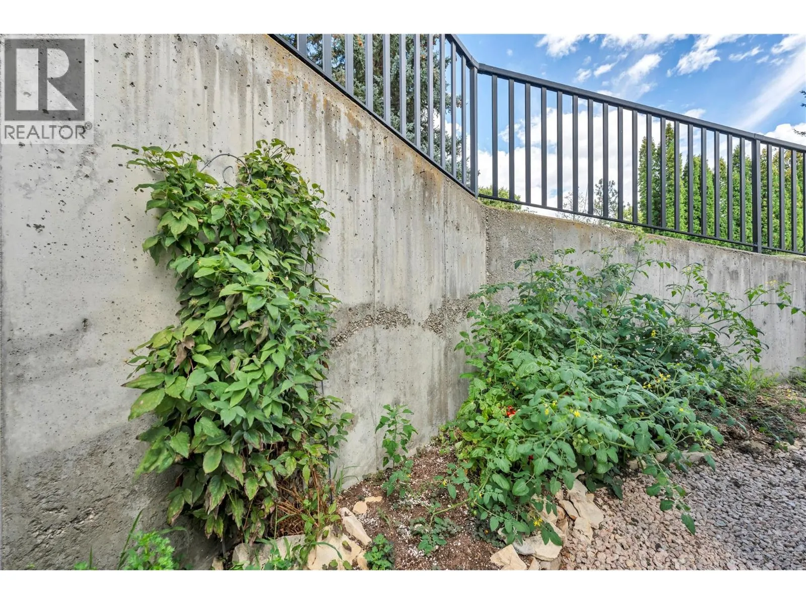 17017 SNOW Avenue Unit# 24