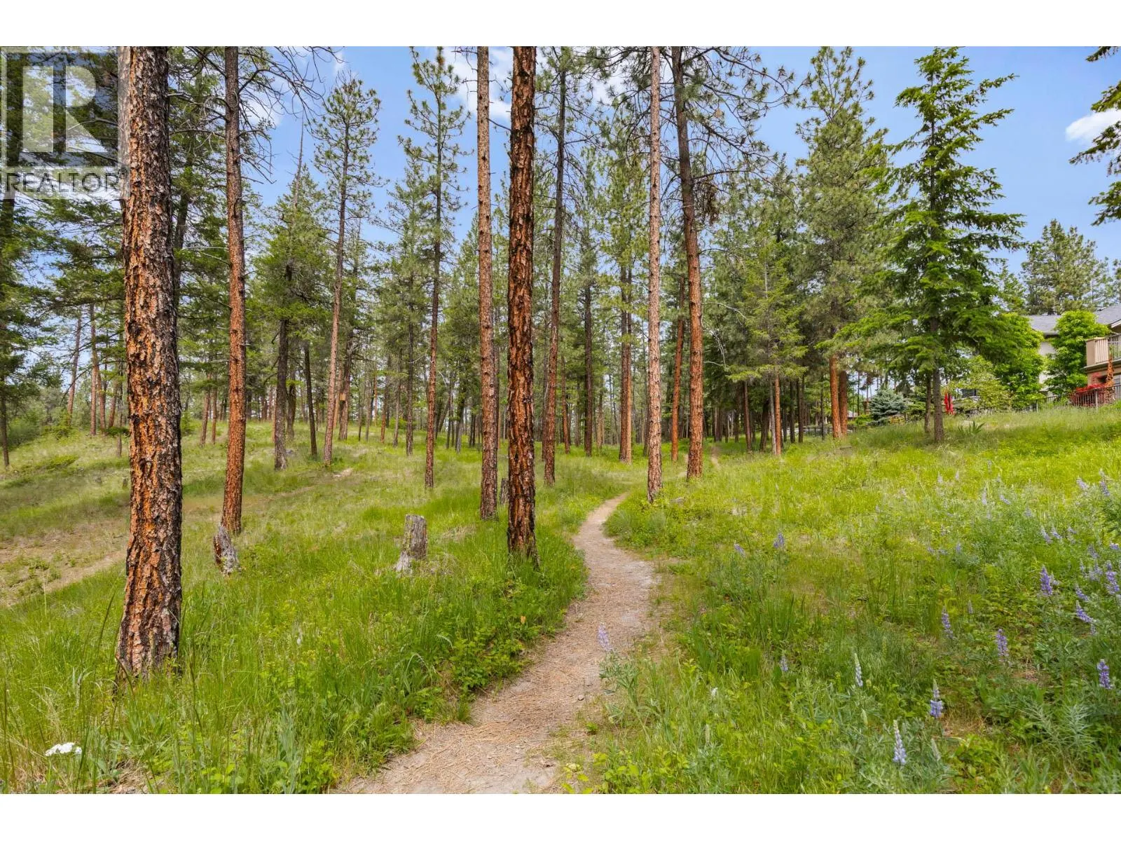 4158 Gallaghers Forest S