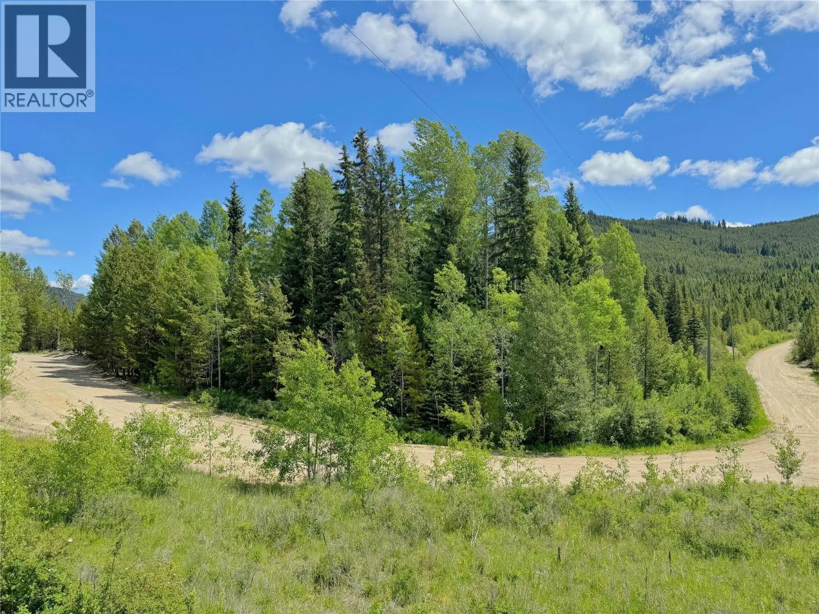 Lot 4 PRINCETON SUMMERLAND Road