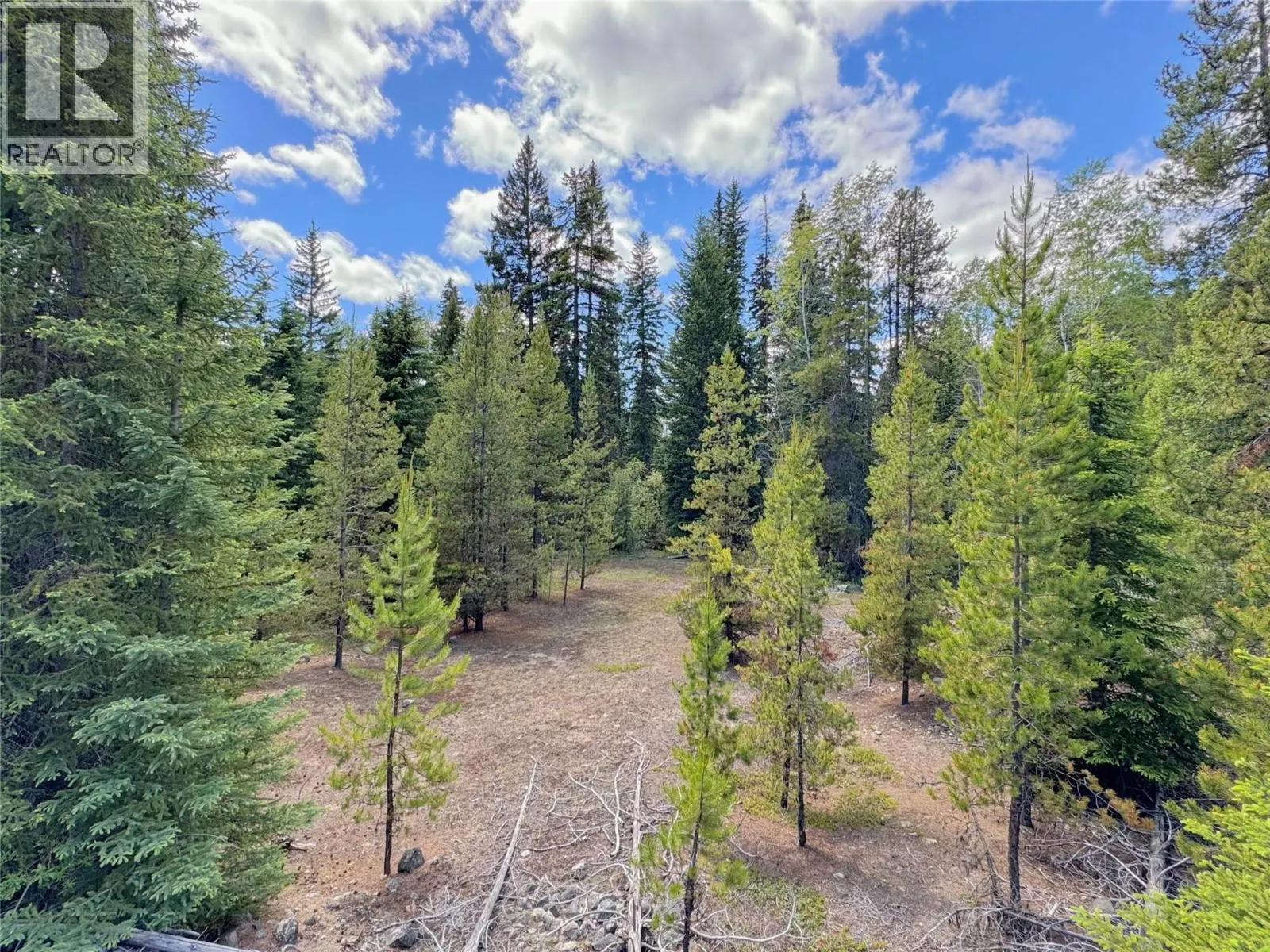 Lot 4 PRINCETON SUMMERLAND Road