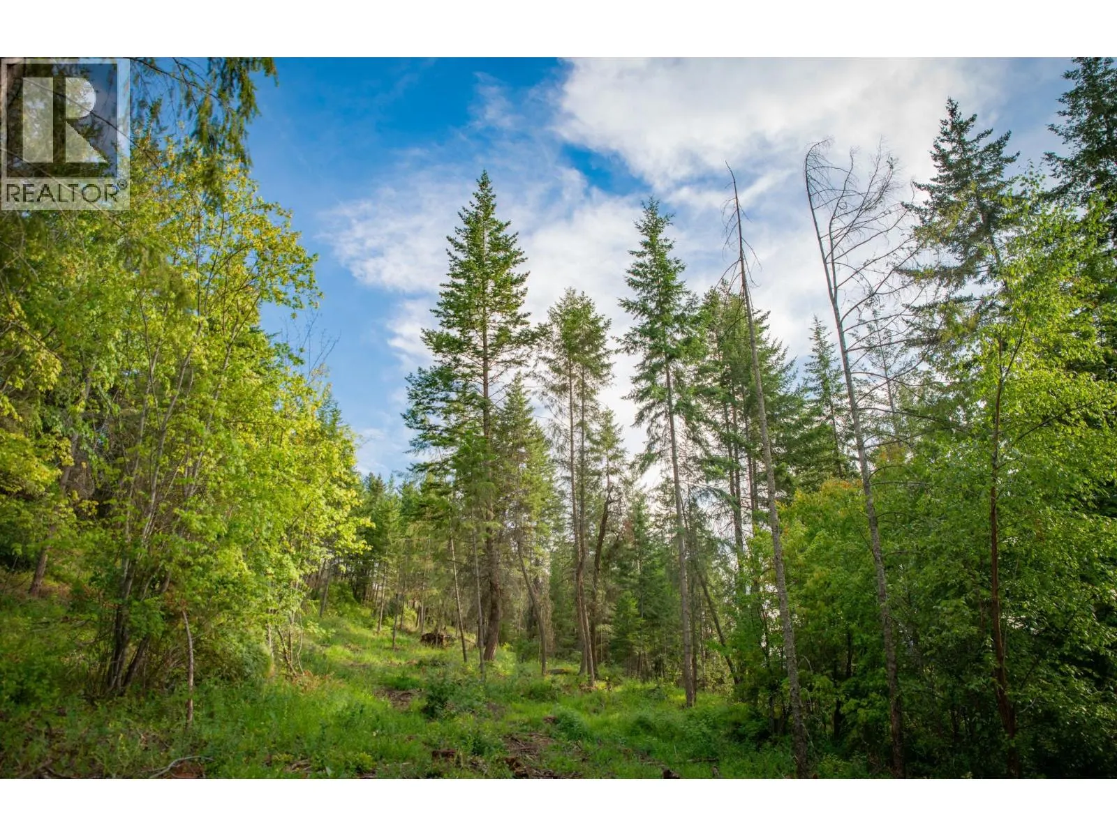 5617 Oyama Lake Road Lot# Prop Lot 2