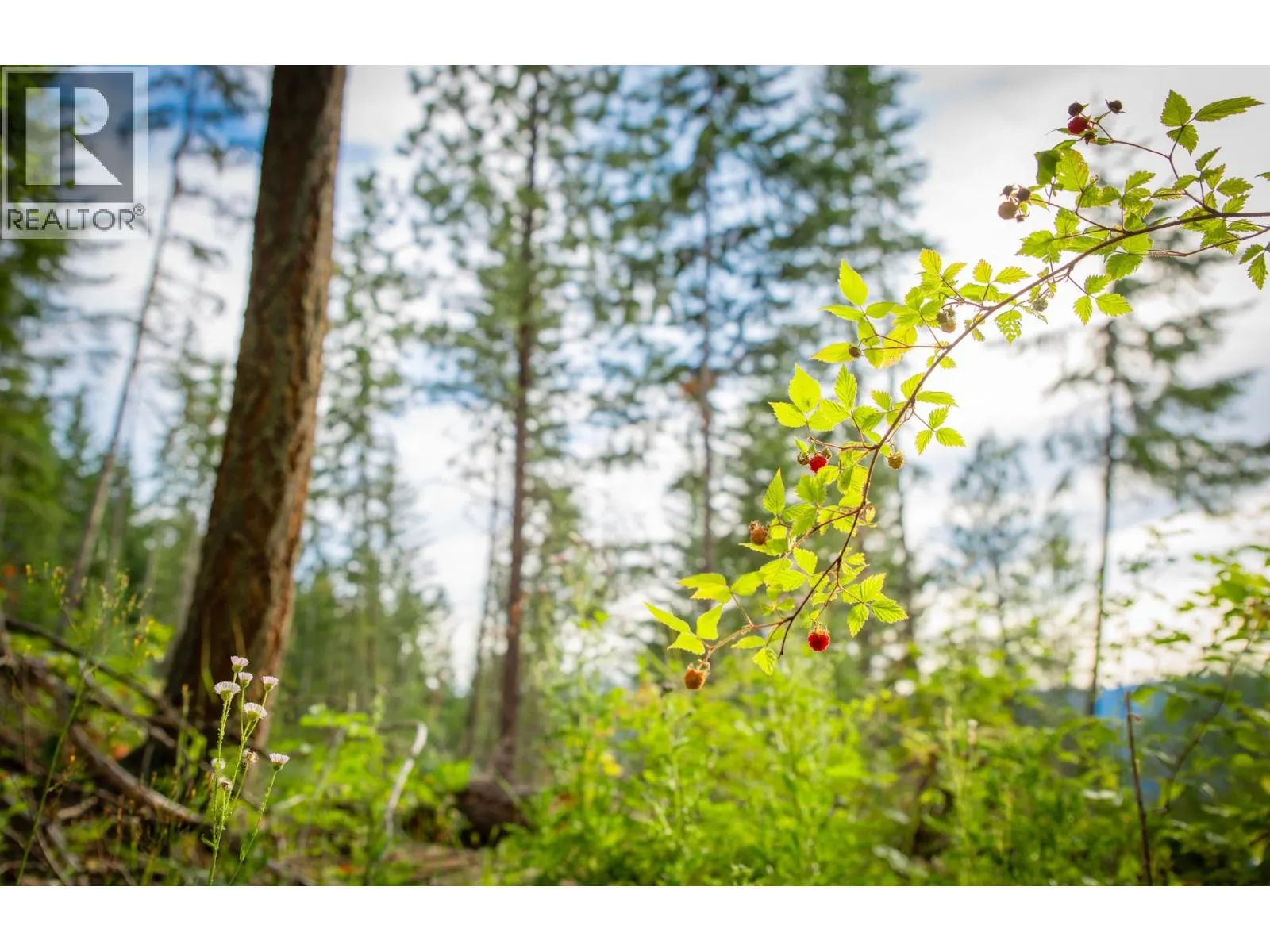 5617 Oyama Lake Road Lot# Prop Lot 2