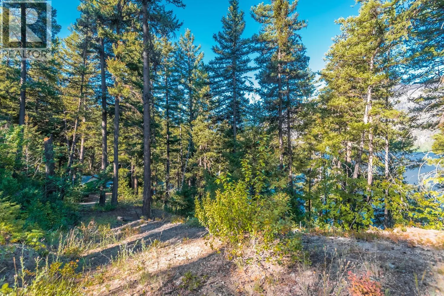 4431 Lakeview Road