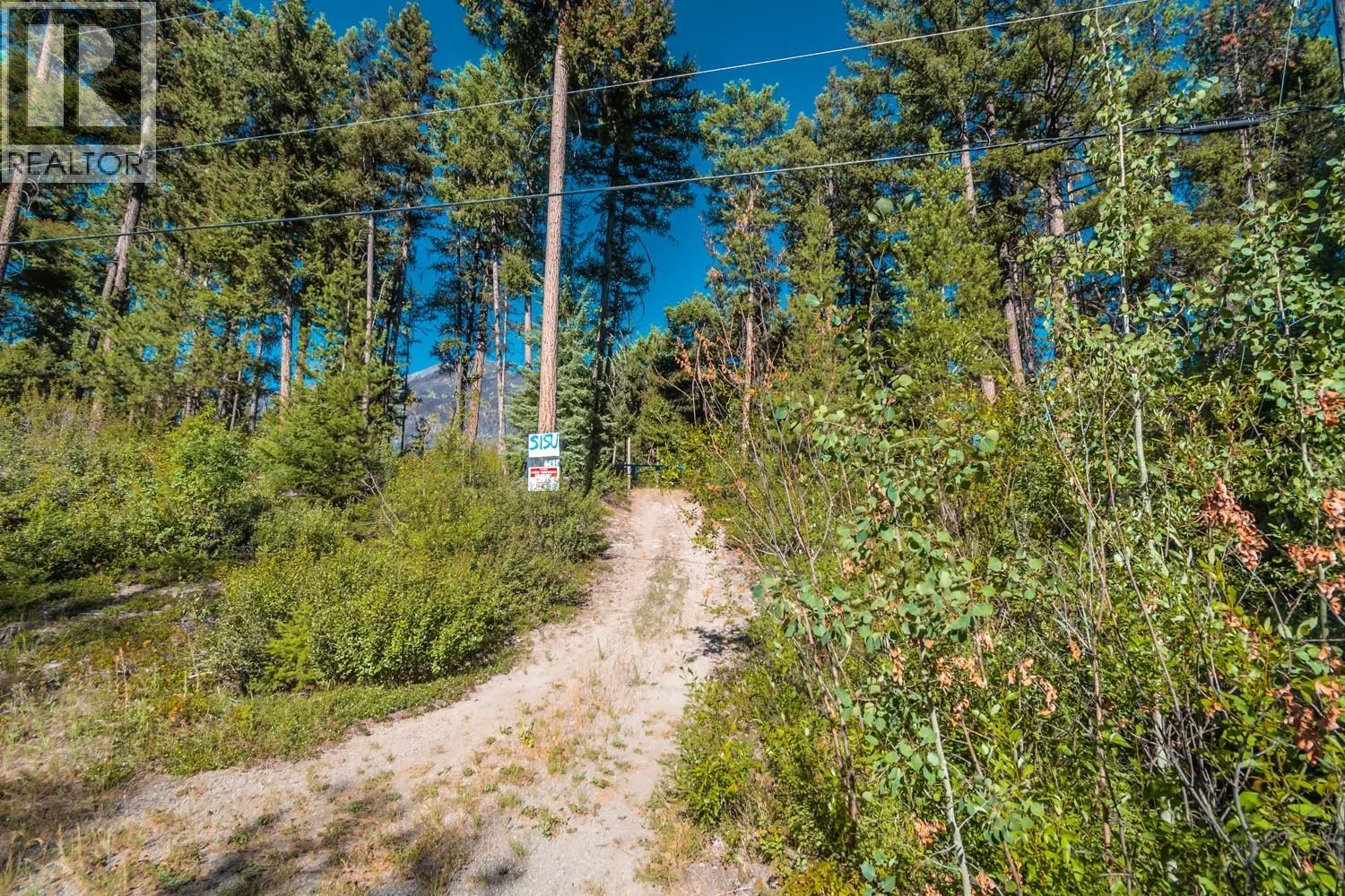 4431 Lakeview Road