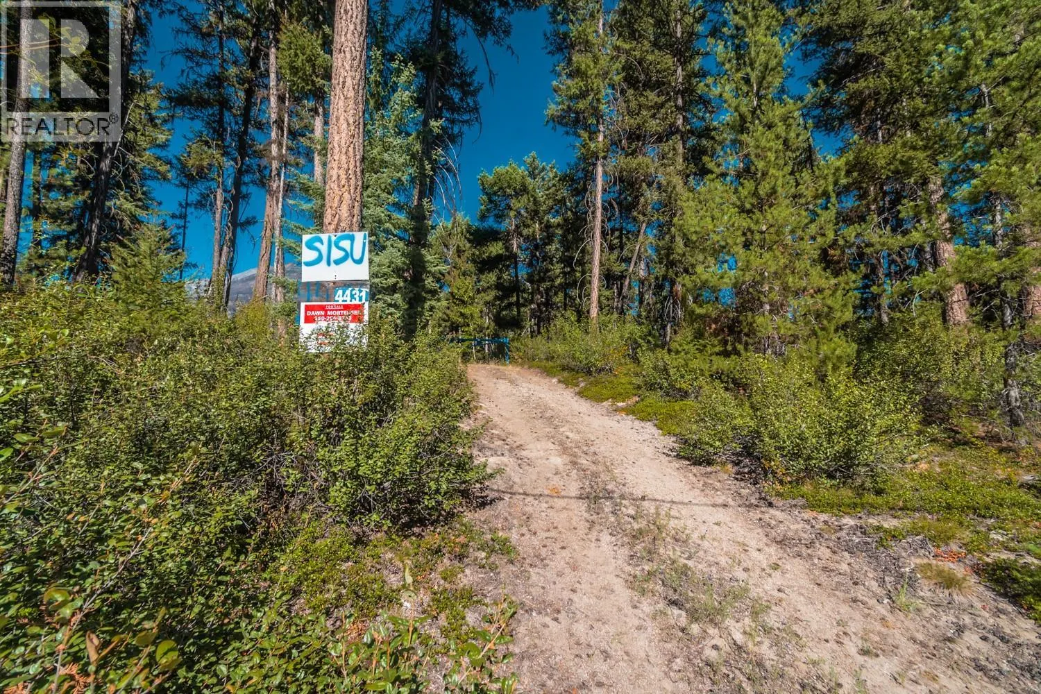 4431 Lakeview Road