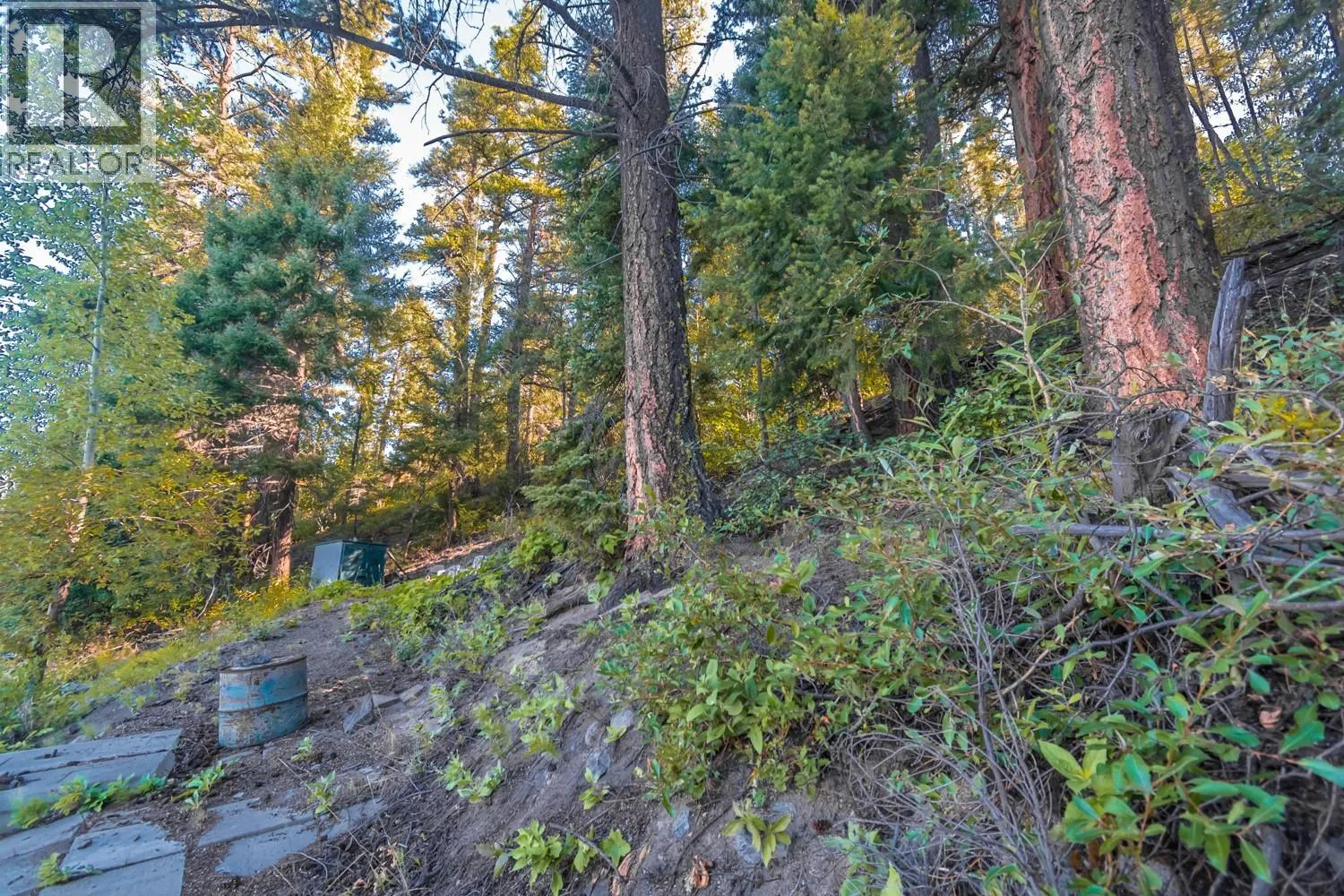 4431 Lakeview Road