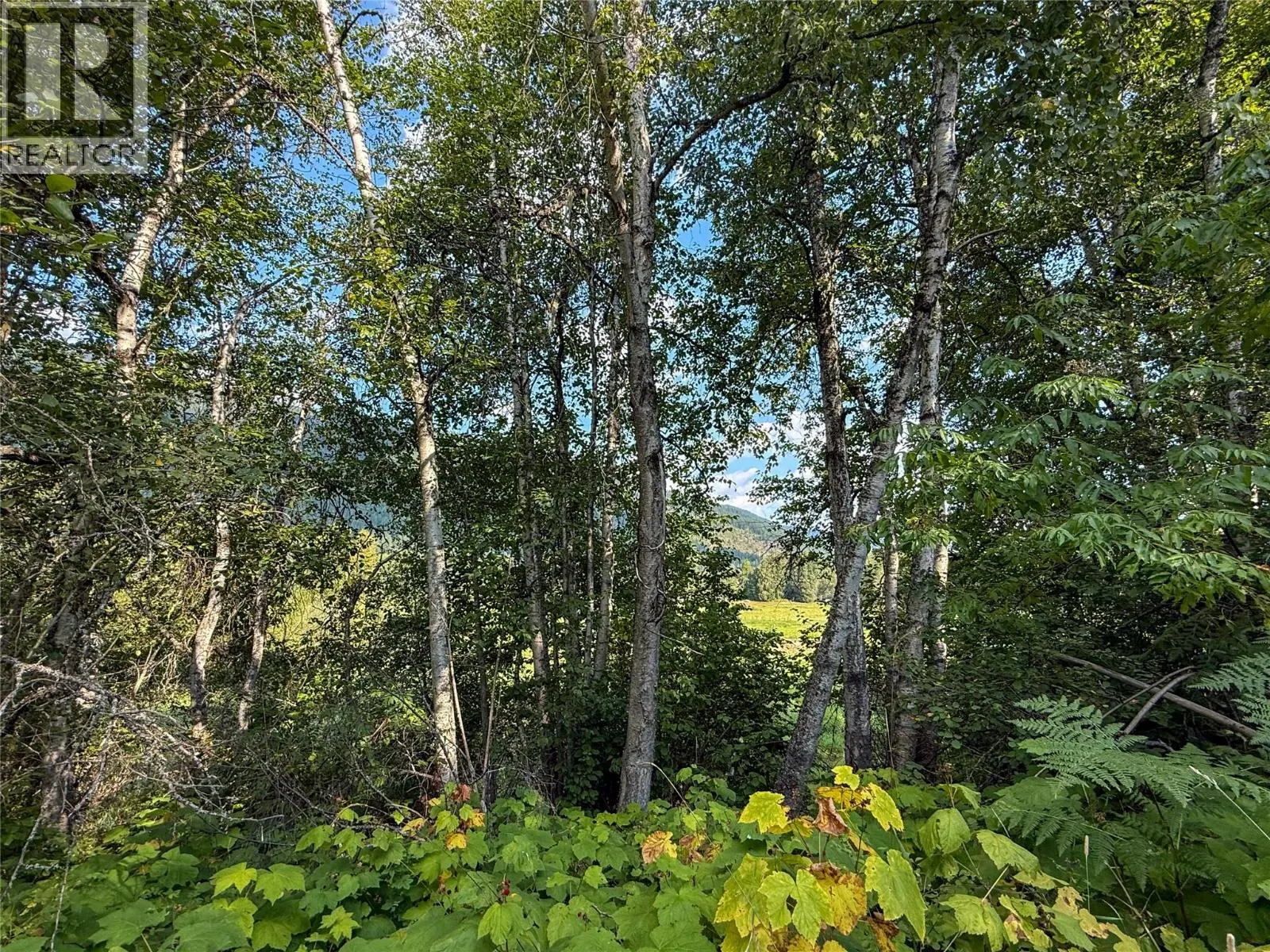 Nixon Road Lot# 84