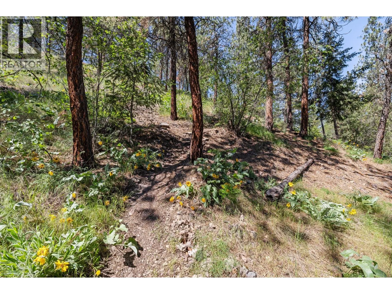 710 Cassiar Road