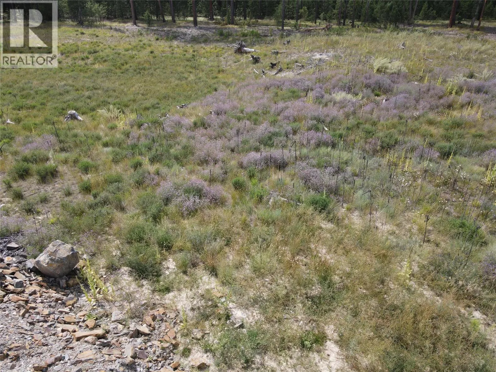 ML 1036752 8086 HWY 95 Highway