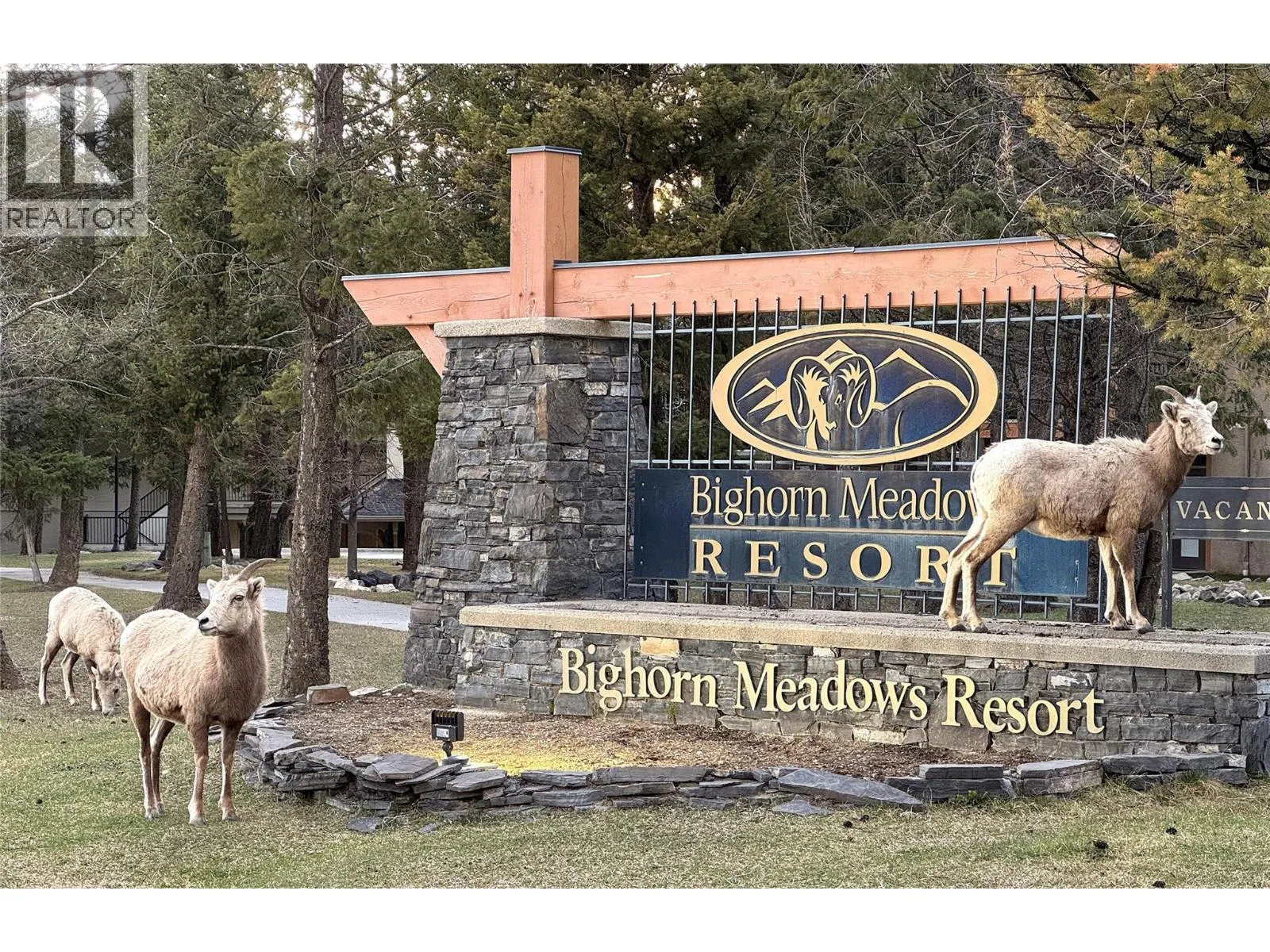 500 BIGHORN Boulevard Unit# 533B