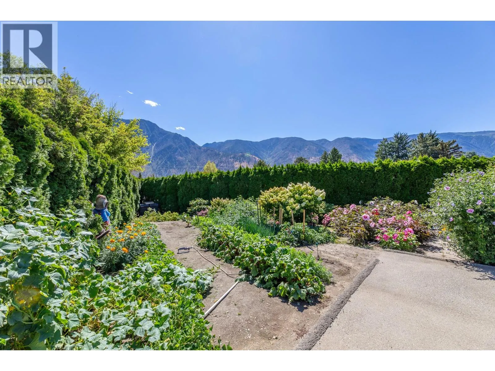 517 Vanderlinde Drive