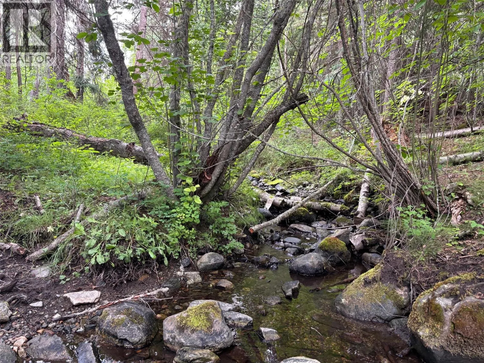 1470 McCarron creek Road