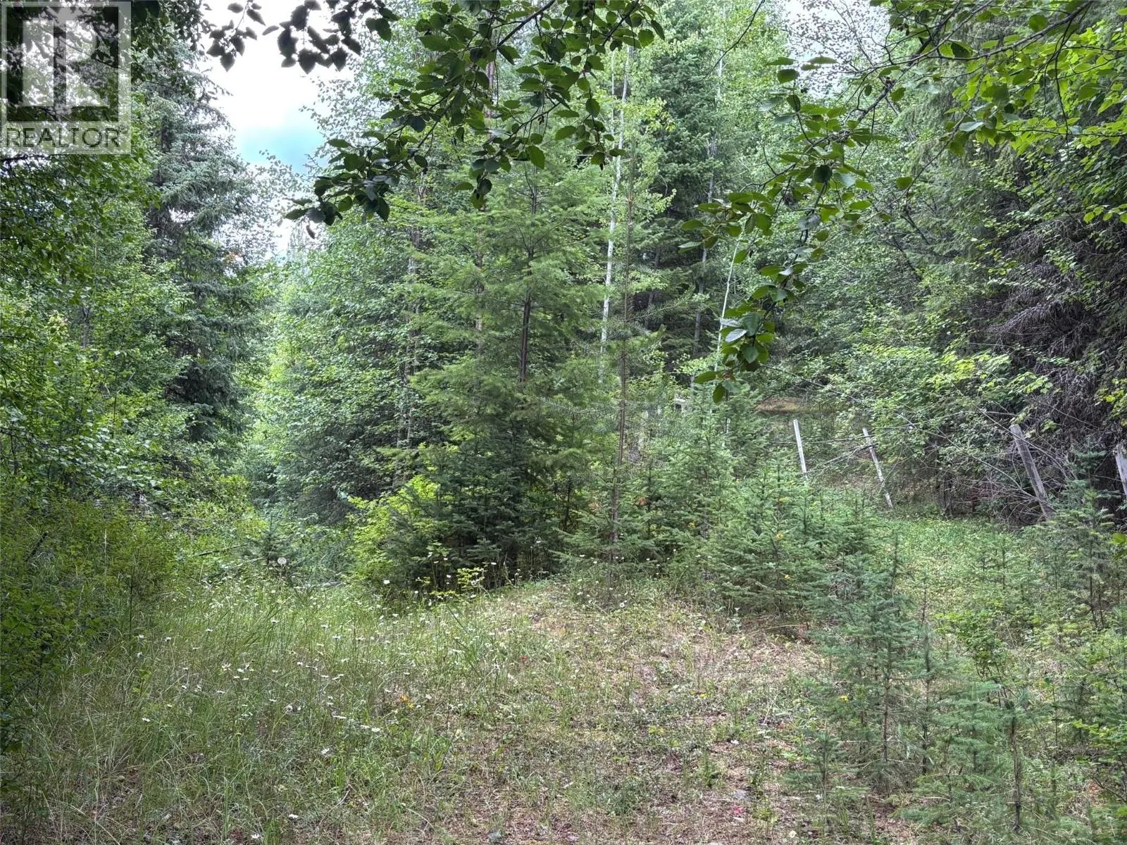 1470 McCarron creek Road