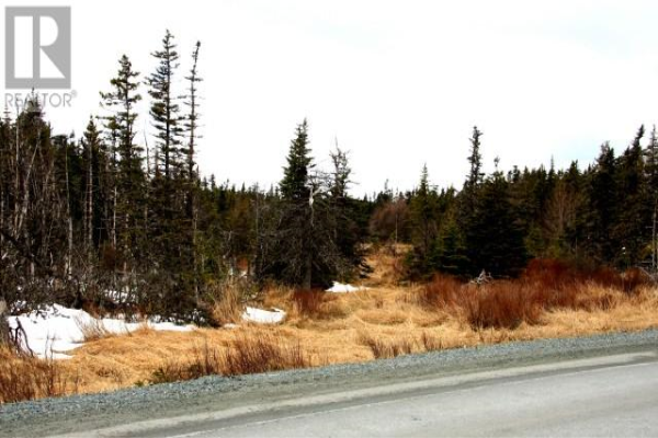0 THORBURN Road, ST. JOHNS