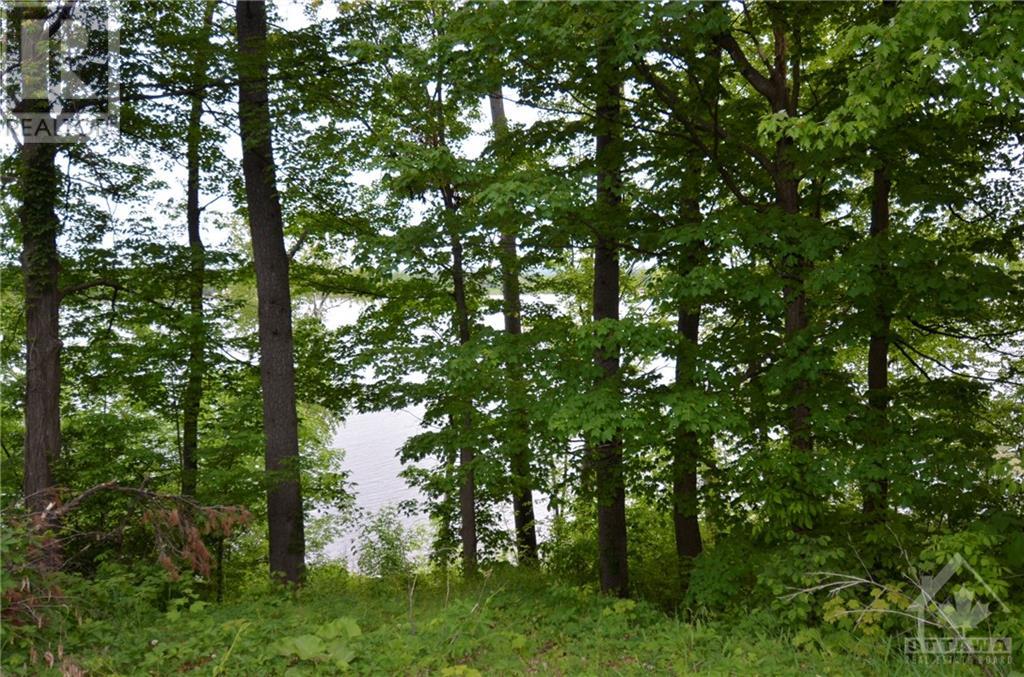 Listing 1245050 - Large Photo # 2