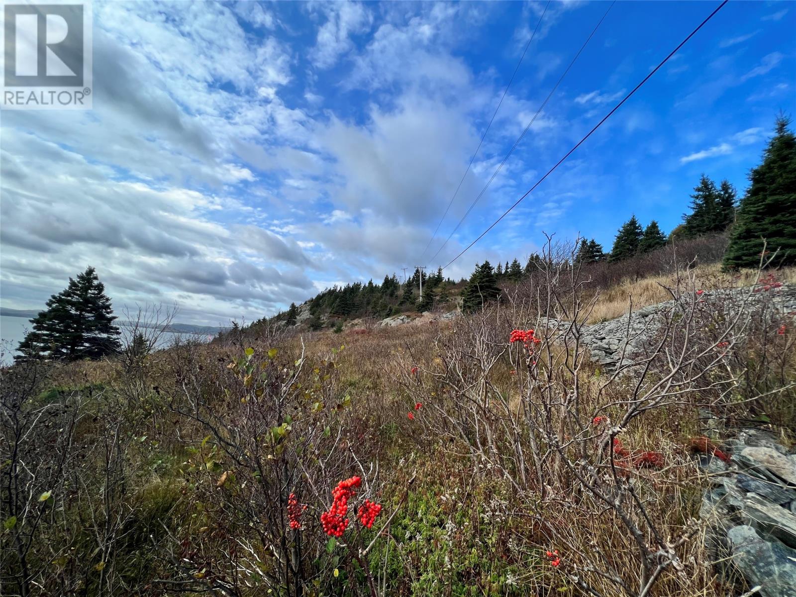Listing 1253416 - Large Photo # 5