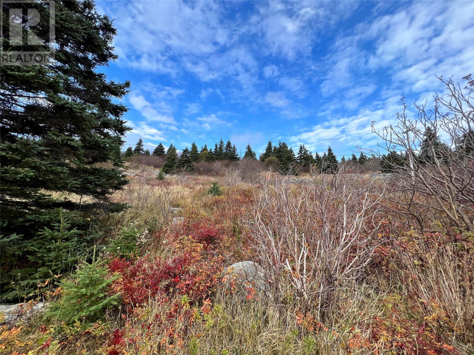Listing 1253416 - Large Photo # 3