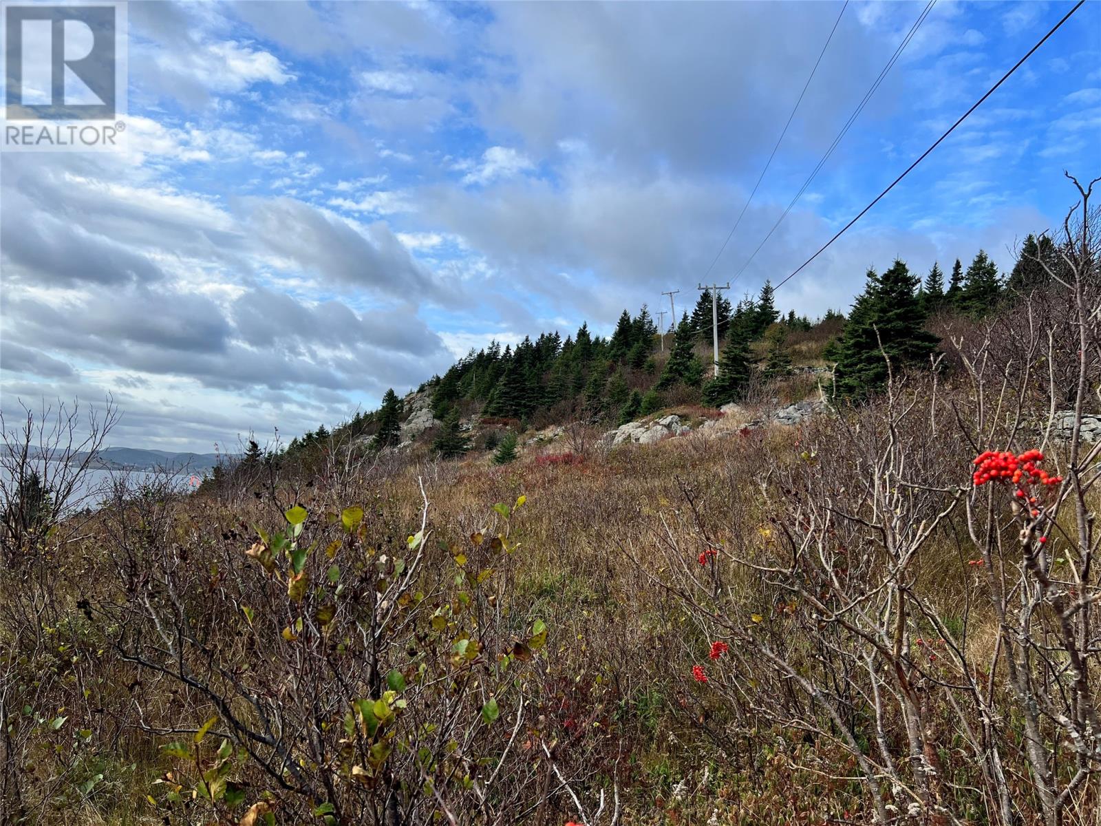 Listing 1253416 - Large Photo # 4