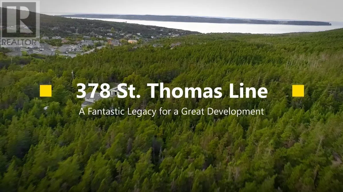 378 St. Thomas Line