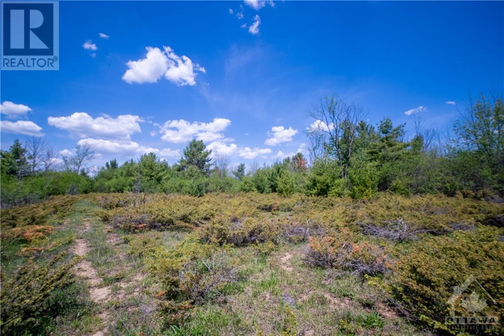 Listing 1265446 - Large Photo # 17