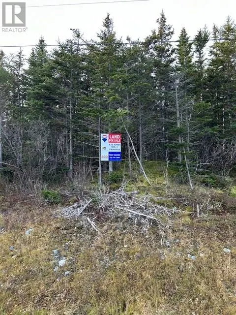 59-77 Main Road
