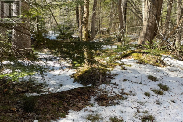 Lot 12-Con10 BARRYVALE ROAD, Calabogie